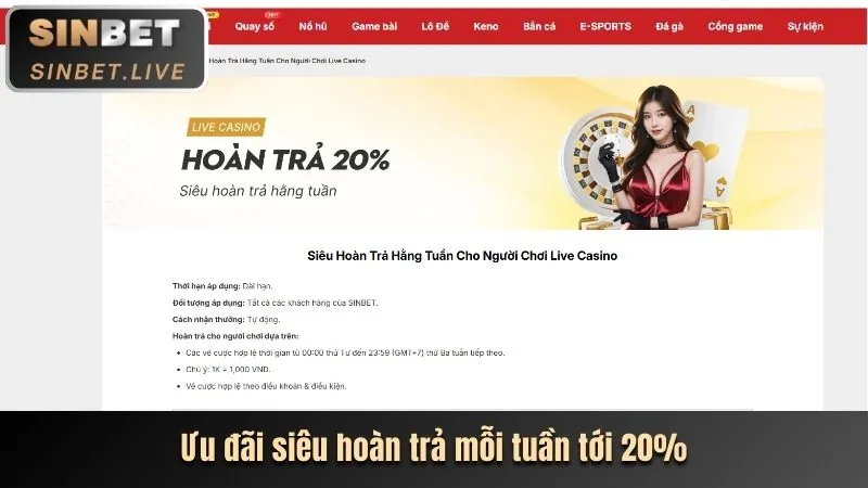 Chương trình VIP 100vip